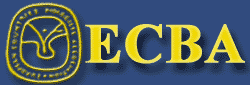 banner80-250n111.gif